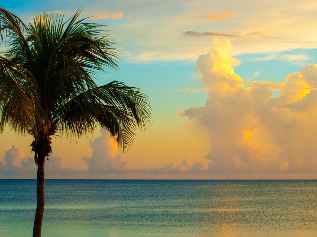 Vacation Rentals by Owner